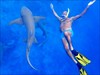 šnorchlování se žraloky (Maledivy, Michal Čepek)